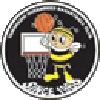 https://img.zqlxly.com/img/basketball/team/e416830f4083698237c559f8988ddb25.png