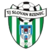 https://img.zqlxly.com/img/football/team/1e3cab433aa0780200515cc345ba594e.png